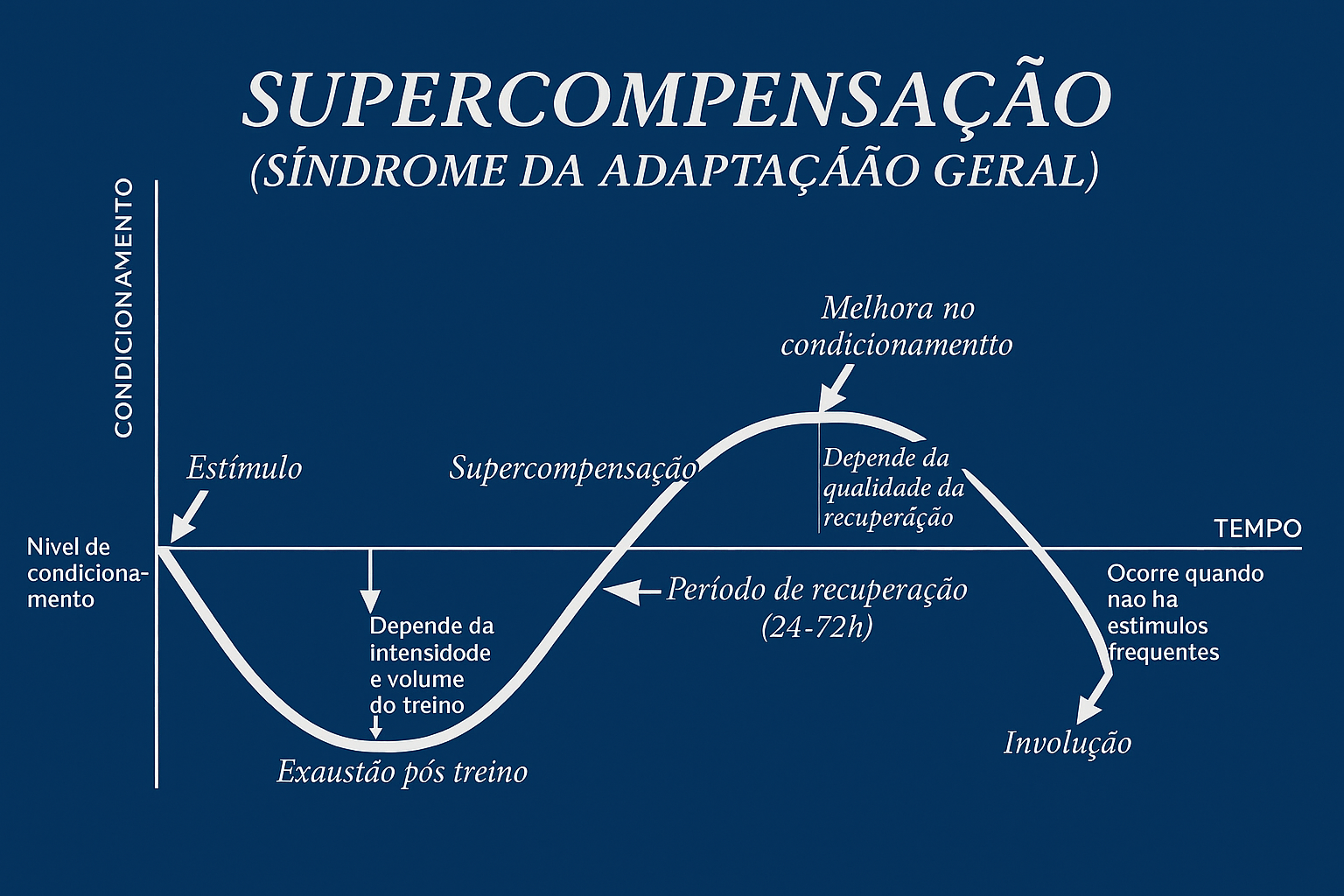 imagem com gráfico explicando o processo de supercompensação na rotina de treino físico